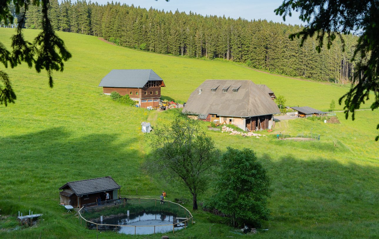 FeWo "Schwarzwald Marie"